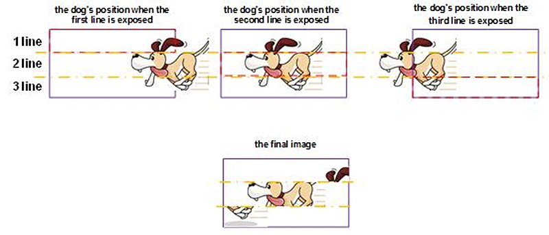 machine vision